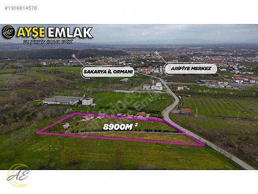 SAPANCA HACIMERCAN’DA 8901M² SATILIK ARSA