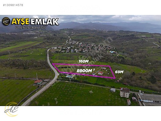 SAPANCA HACIMERCAN’DA 8901M² SATILIK ARSA