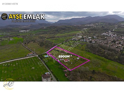 SAPANCA HACIMERCAN’DA 8901M² SATILIK ARSA